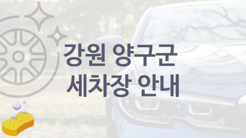강원 양구군  세차장 추천- 종류별 세차비 정보