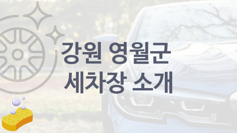 영월군  세차장 안내 추천 부위별 세차 비용