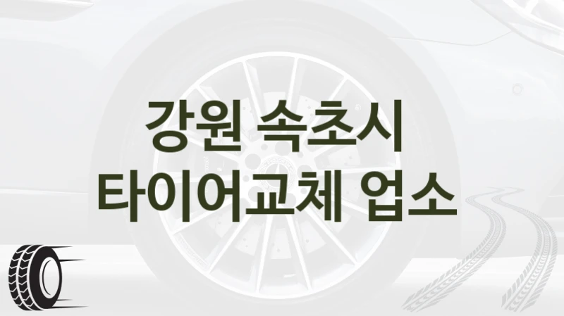 강원 속초시 
타이어교체 업소