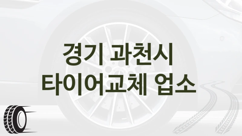 경기 과천시 
타이어교체 업소