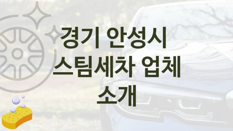 경기 안성시  스팀세차 추천- 차종별 세차비용