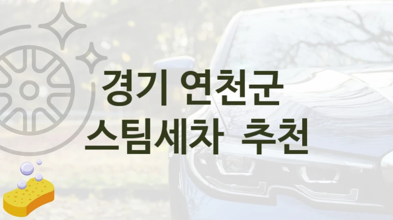 경기 연천군 
스팀세차  추천