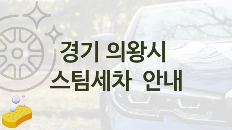 경기 의왕시 
스팀세차  안내