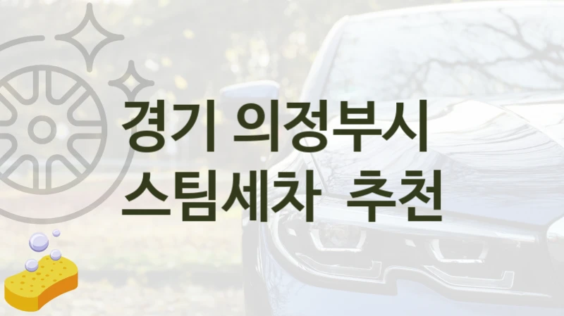 경기 의정부시 
스팀세차  추천