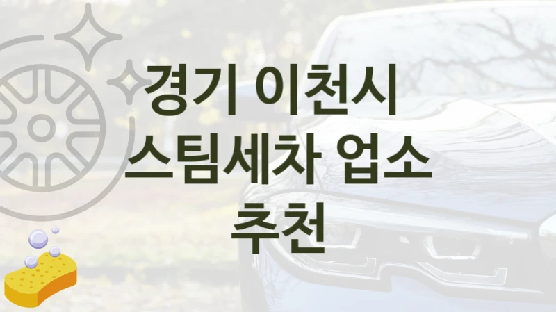경기 이천시 
스팀세차 업소 추천