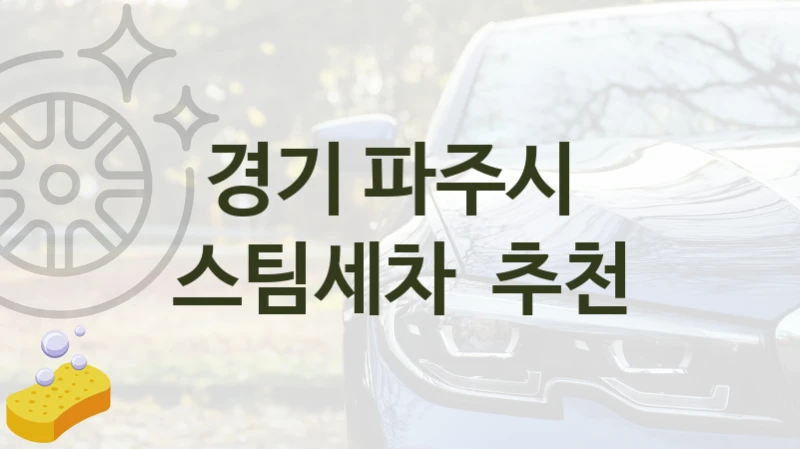 경기 파주시 
스팀세차  추천