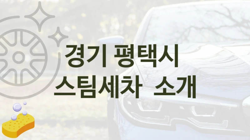 경기 평택시 
스팀세차  소개