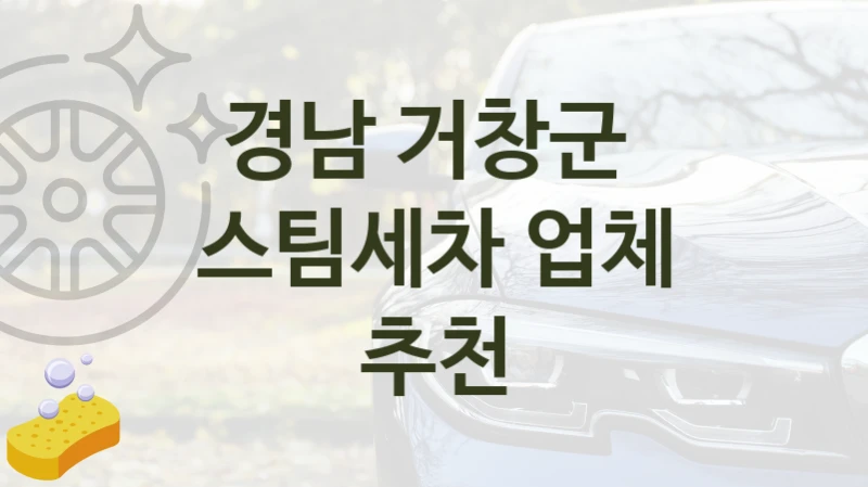 경남 거창군 
스팀세차 업체 추천