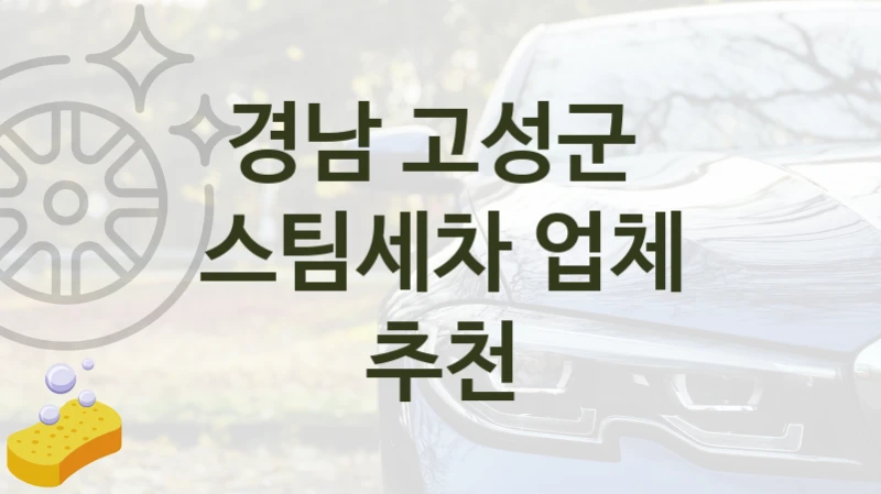 경남 고성군 
스팀세차 업체 추천
