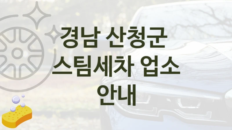 경남 산청군 
스팀세차 업소 안내