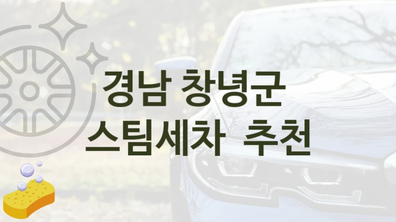 경남 창녕군 
스팀세차  추천