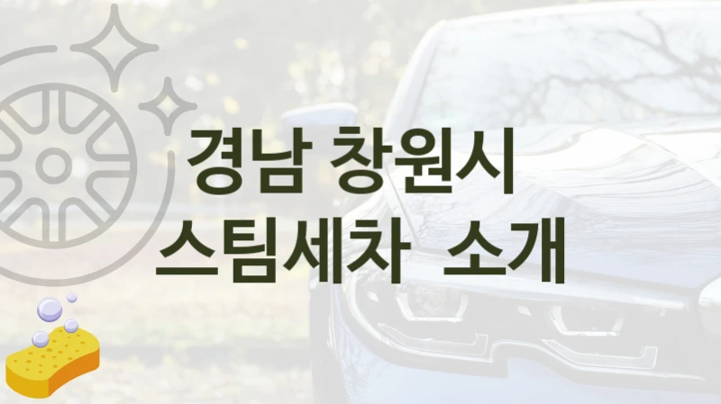 경남 창원시 
스팀세차  소개