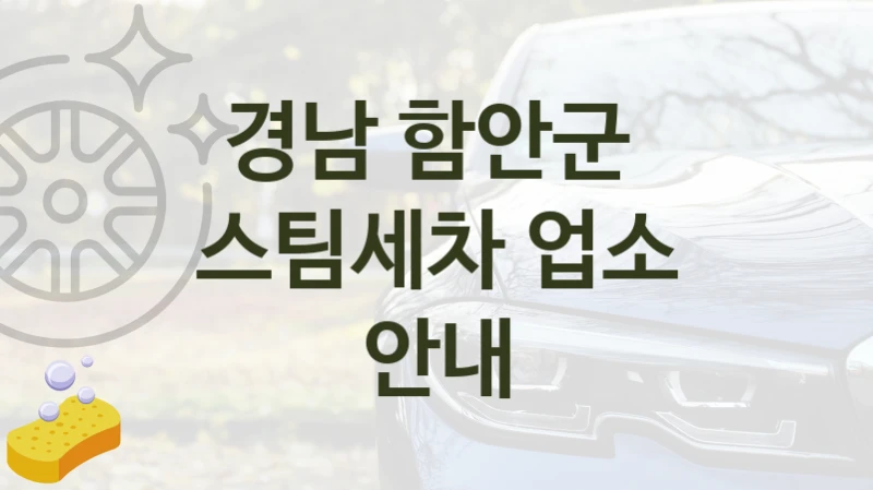 경남 함안군 
스팀세차 업소 안내