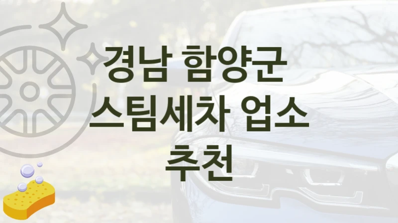 경남 함양군 
스팀세차 업소 추천