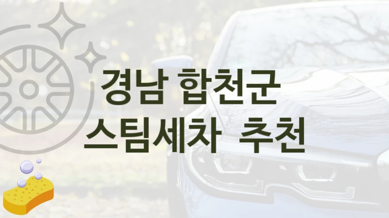 경남 합천군 
스팀세차  추천