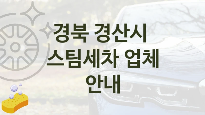 경산시  스팀세차 안내 추천 크기별 옵션별 가격