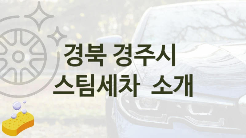 경북 경주시 자동차 스팀세차 추천- 차량 크기별 세차비용