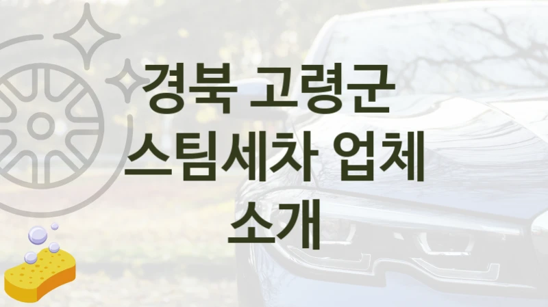 경북 고령군 
스팀세차 업체 소개
