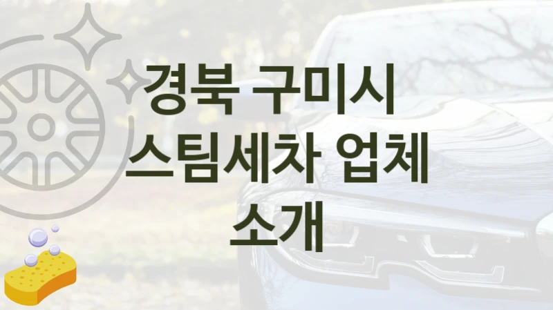 경북 구미시 
스팀세차 업체 소개