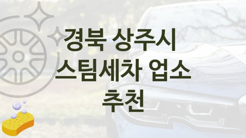 경북 상주시 
스팀세차 업소 추천