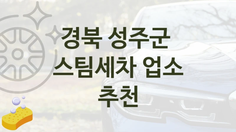 경북 성주군 
스팀세차 업소 추천