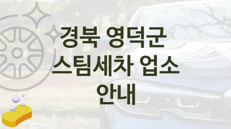 경북 영덕군 자동차 스팀세차 추천정보, 차종별 세차 비용