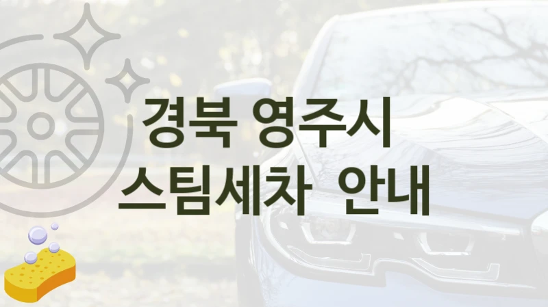 경북 영주시 
스팀세차  안내