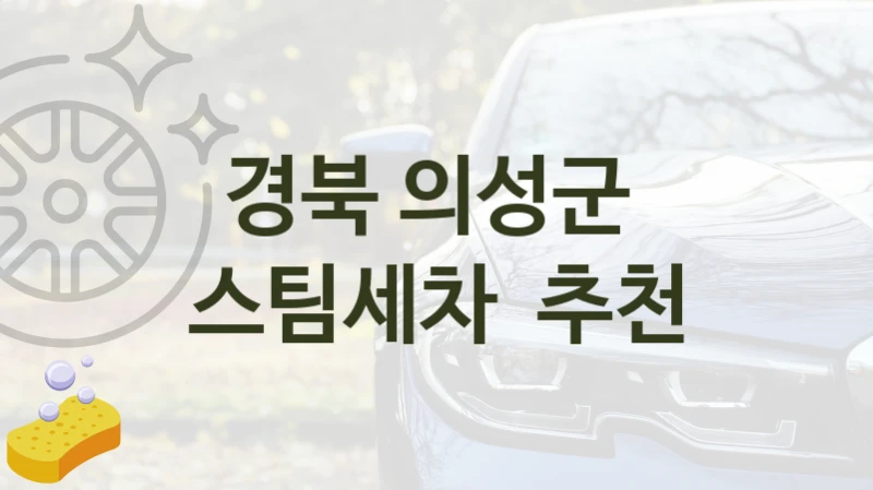 경북 의성군 
스팀세차  추천