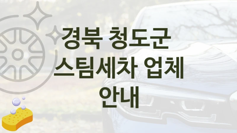 경북 청도군 자동차 스팀세차 안내- 종류별 세차비 정보