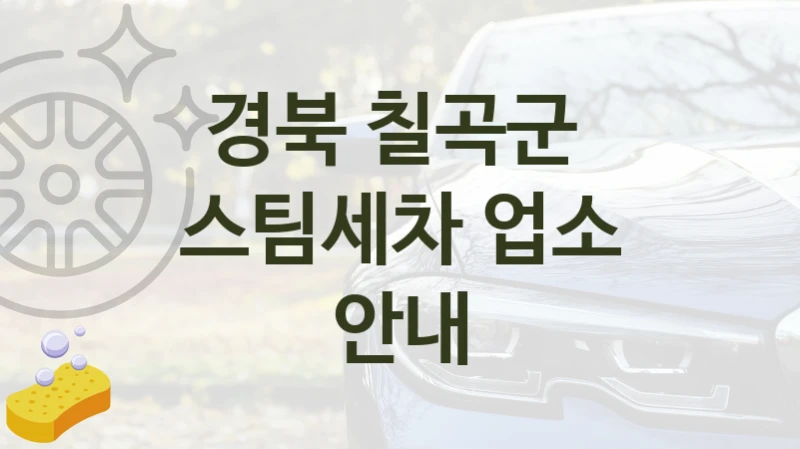 경북 칠곡군 
스팀세차 업소 안내