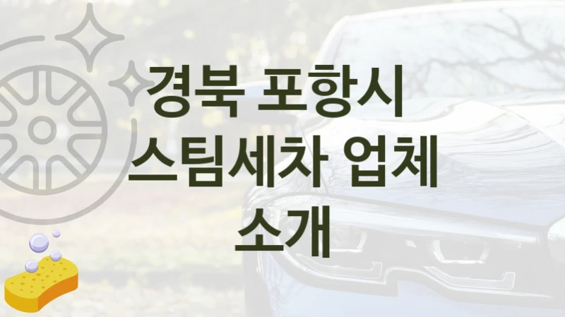 경북 포항시 
스팀세차 업체 소개