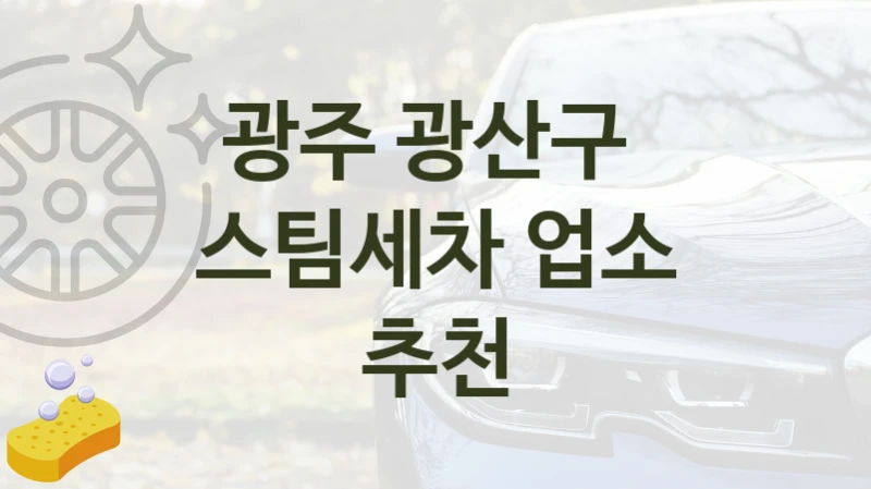 광주 광산구 
스팀세차 업소 추천