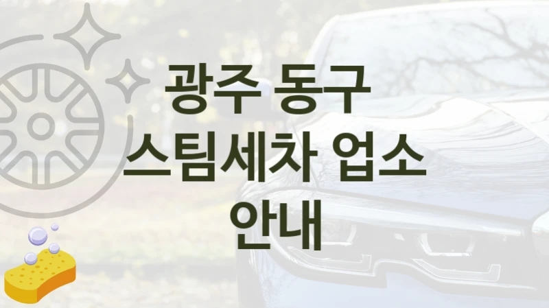 광주 동구 
스팀세차 업소 안내