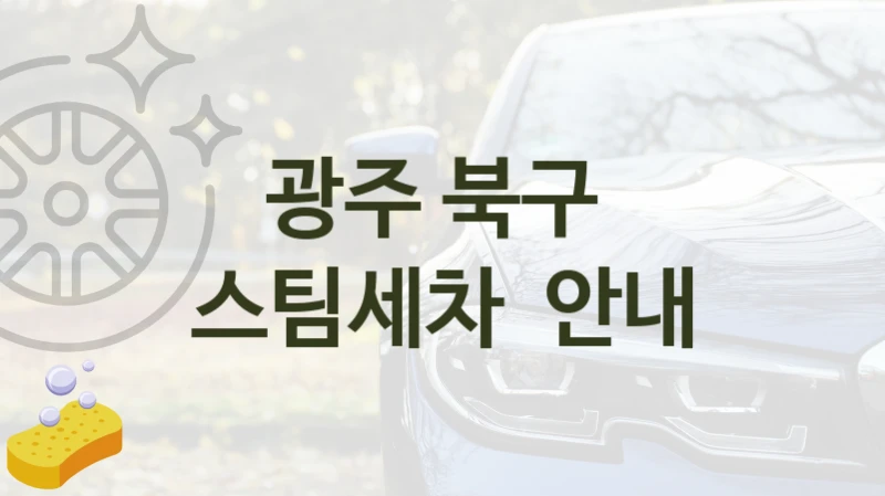 광주 북구 자동차 스팀세차 추천- 차종별 세차비용