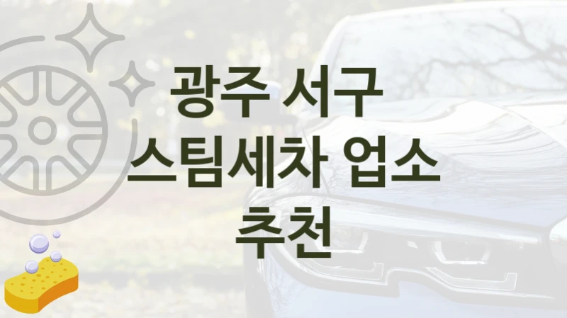 광주 서구 
스팀세차 업소 추천