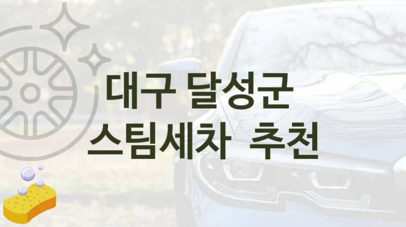 대구 달성군 
스팀세차  추천