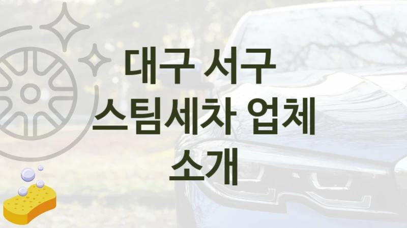 대구 서구  스팀세차 안내, 크기별 옵션별 가격