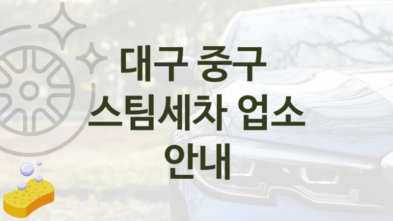 대구 중구 
스팀세차 업소 안내