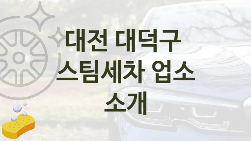 대전 대덕구 
스팀세차 업소 소개