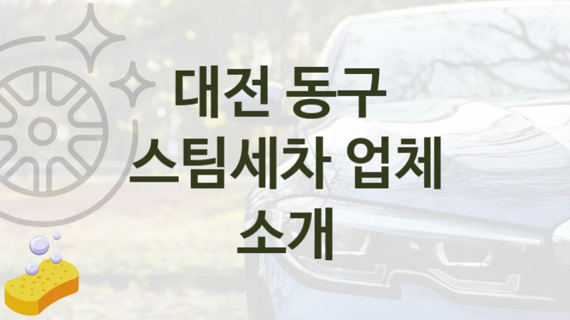 대전 동구 
스팀세차 업체 소개