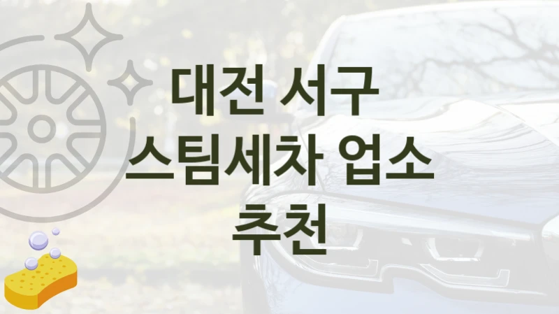 대전 서구 
스팀세차 업소 추천