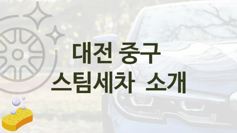 대전 중구 
스팀세차  소개