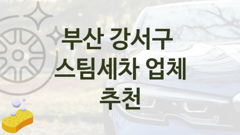 부산 강서구 
스팀세차 업체 추천