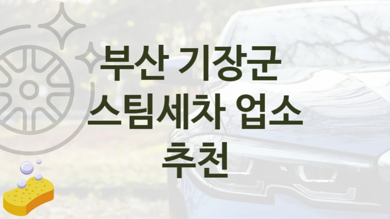 부산 기장군 
스팀세차 업소 추천