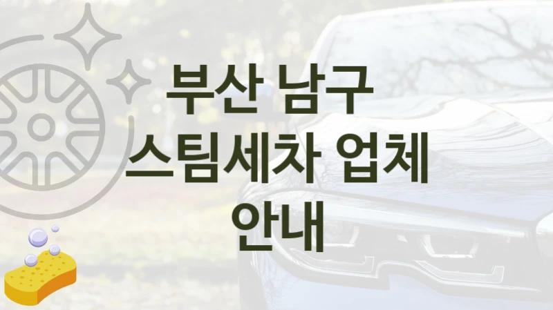 부산 남구 
스팀세차 업체 안내