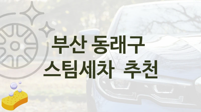 부산 동래구 
스팀세차  추천