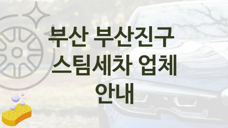 부산 부산진구 
스팀세차 업체 안내