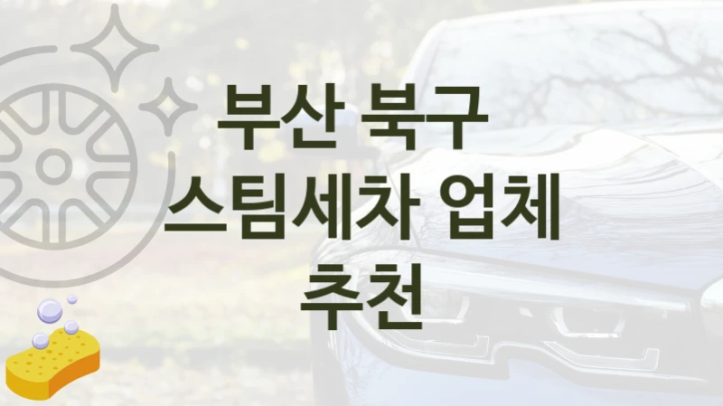 부산 북구  스팀세차 안내, 차종별 세차 가격