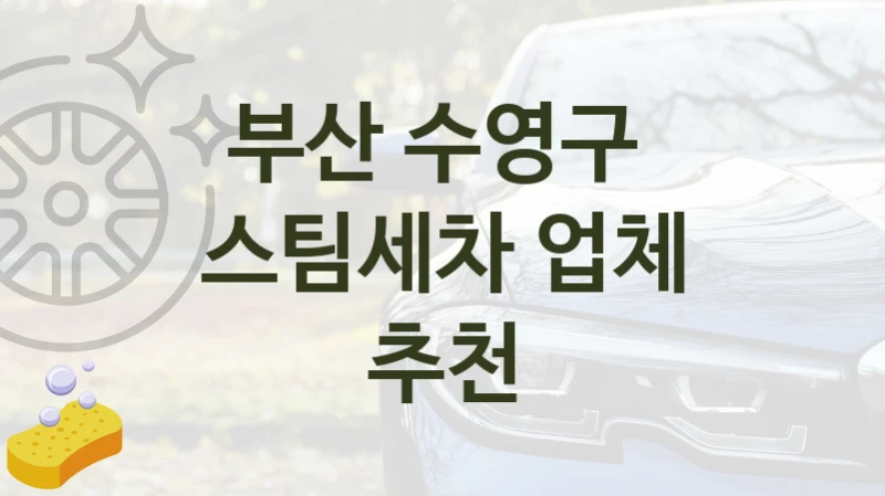 부산 수영구 
스팀세차 업체 추천