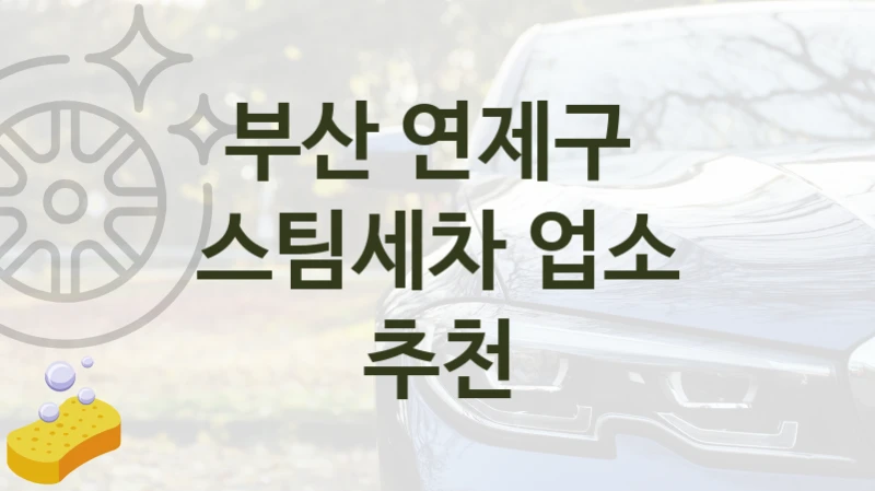부산 연제구 
스팀세차 업소 추천